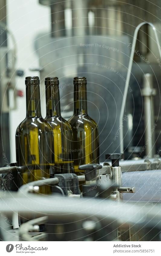 Weinflaschen auf einem Förderband in einer Abfüllanlage einer Weinkellerei Flasche Weingut Abfüllung Inszenierung Glas leer Fabrik Maschine industriell Linie