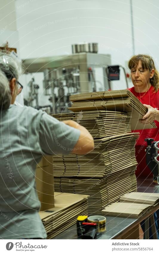 Arbeiter der Weinkellerei stapeln Kisten in der Verpackungsanlage Weingut Einrichtung Karton Kasten Stapel zusammenarbeiten Industrie Herstellung manuell Wehen