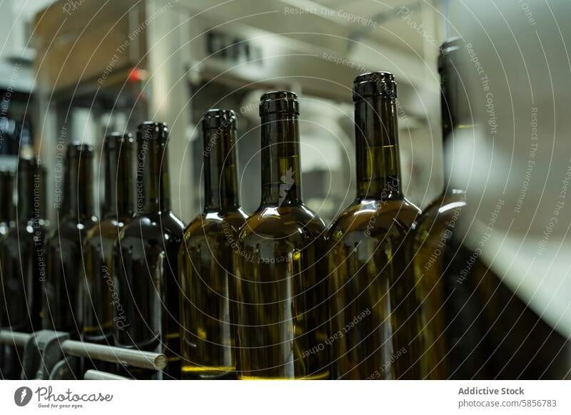 Reihen von Weinflaschen am Fließband in einer Weinkellerei Weingut Inszenierung Förderband Getränk Glas grün Nahaufnahme Alkohol Qualitätskontrolle Industrie