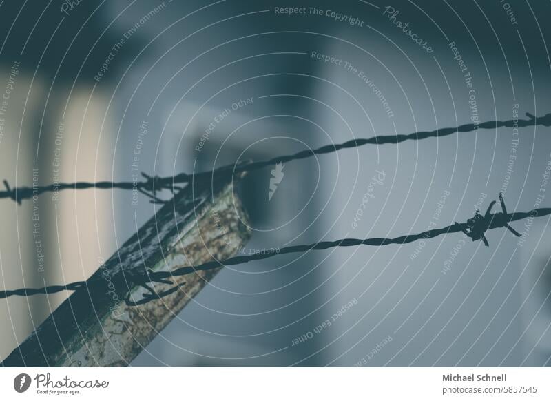 Stacheldraht - kein Zugang! Verbot Absperrung Sicherheit Barriere isolation Stacheldrahtzaun Grenze Zaun bedrohlich gefangen Schutz gefährlich Freiheit Draht