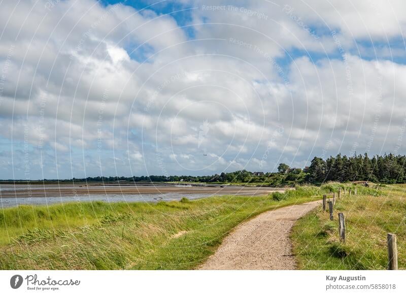 Am Watufer Wattenmeer Watuferzone Sylt Insel Sylt Schleswig-Holstein Syltlandschaft Farbfoto Nationalpark Außenaufnahme Landschaft Küste Deutschland Natur