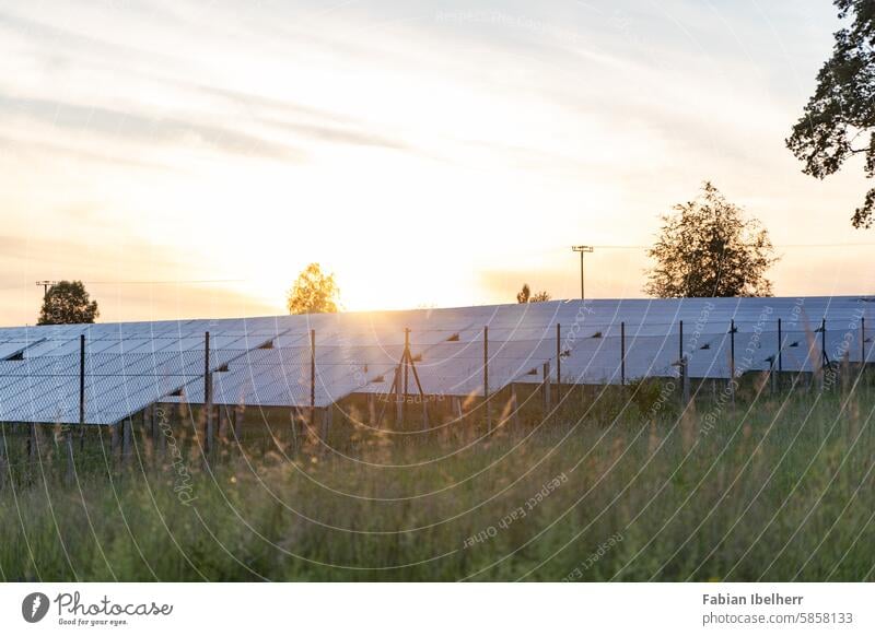 Sonnenuntergang über Photovoltaikanlage Solarzelle Solarpark PV-Anlage Solarstrom erneuerbare Energie Solarenergie Deutschland