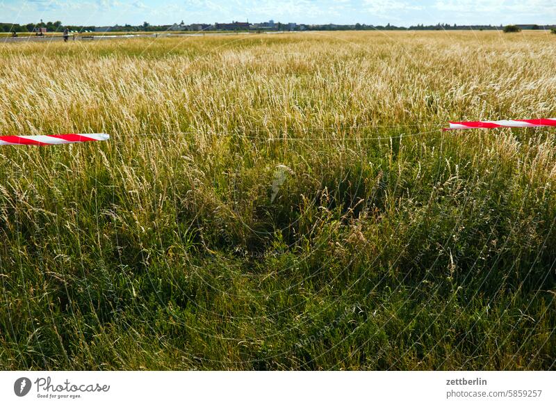 Tempelhofer Freiheit berlin ferne flugbahn flughafen flugplatz freiheit himmel horizont menschenleer rollbahn skyline sommer spiegelbild tempelhof