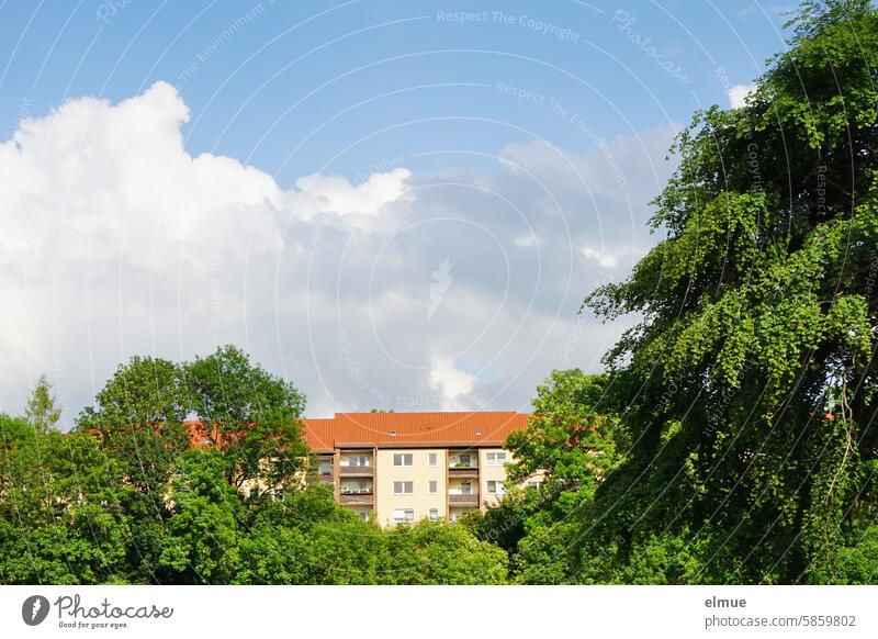 Wohnblock inmitten grüner Laubbäume wohnen wohnen im Grünen Laubbaum Bäume Schönwetterwolken Balkon Ziegeldach Fenster Wohnhaus Blog Mehrfamilienhaus Miete