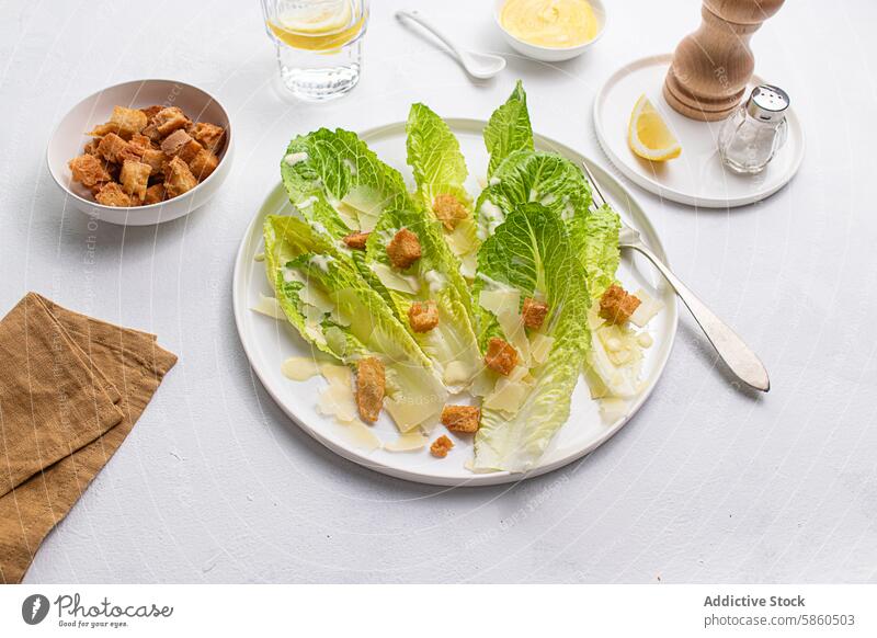 Draufsicht klassischer Caesar-Salat auf weißem Hintergrund Salatbeilage kulinarisch speisend flache Verlegung Lebensmittel frisch Gesundheit