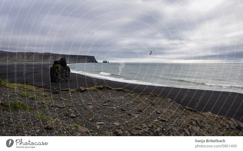 Sehnsucht - Reynisfjara Beach mit Reynisdrangar im Hintergrund Island Strand Außenaufnahme Meer Landschaft Küste Felsen Natur Meereslandschaft Tourismus