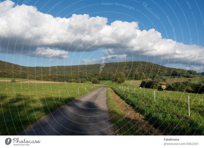 Landstraße zwischen Feldern mit blauem Himmel Weg sonnig Textfreiraum Landschaft Natur Wiese Hintergrund Wälder unbefestigter Weg Ackerbau Bäume Straße