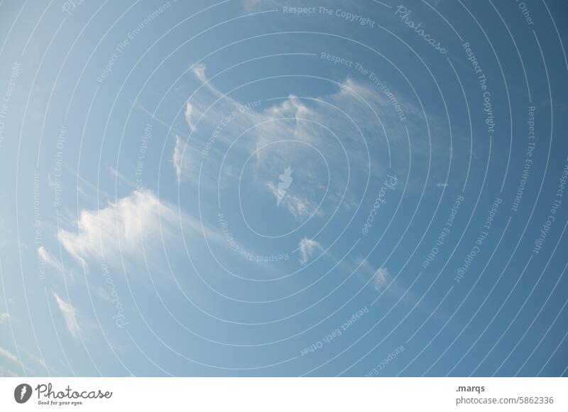 Dezente Cirruswolken Luft bizarre Wolken Wolkenformation Umwelt Klimawandel Zirruswolken Urelemente Schönes Wetter Stimmung Luftdruck Meteorologie Natur blau