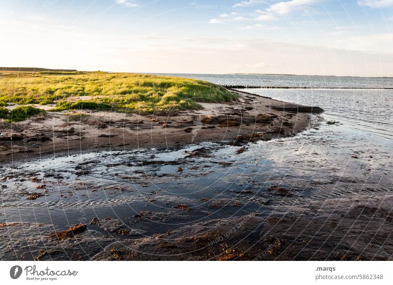 Ebbe Wattenmeer Nordseeküste Küste Ferien & Urlaub & Reisen Natur Umwelt Meer Erholung Horizont ebbe und flut Gezeiten Schlick Landschaft Naturerlebnis Wasser