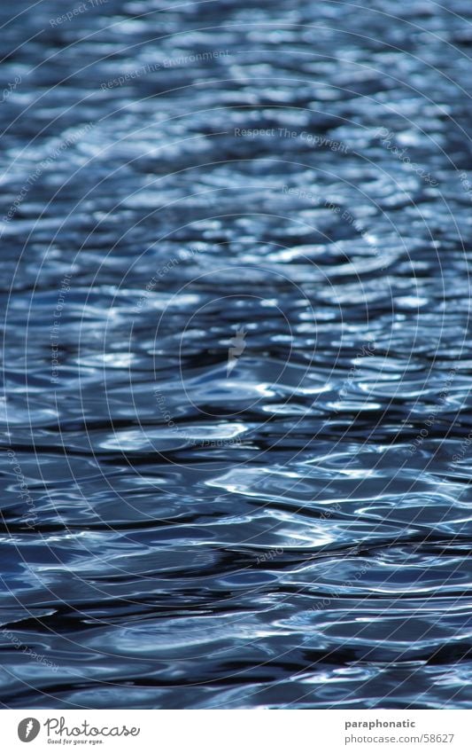 Wasser - einfach Wasser See Meer fließen ruhig Erholung genießen Wellen klein Sonnenlicht Licht & Schatten grün Aussicht Außenaufnahme Fluss Kraft blau