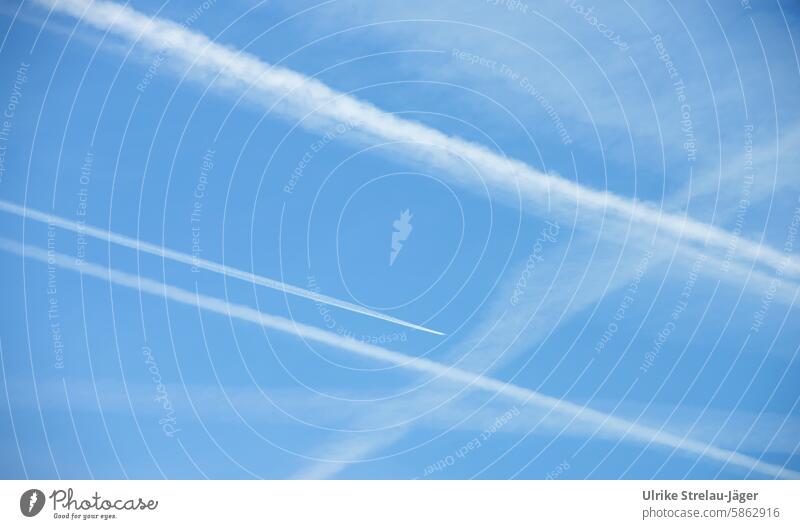 Himmlische Webmuster | Kondensstreifen am hellblauen Himmel gekreutzt Spuren Vorbeiflug vorbeifliegen Flugverkehr Luftverkehr schönes Wetter Linien Fluglinien