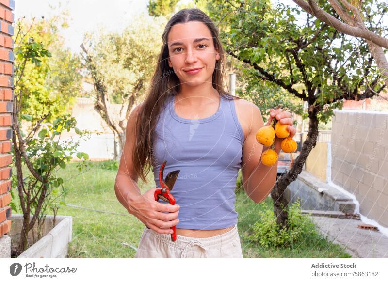 Frau hält frisch gepflückte Früchte und Baumschere im Garten Loquats Kommissionierung Frucht Beschneidung Scheren Ernte im Freien Gartenbau Gartenarbeit Pflege