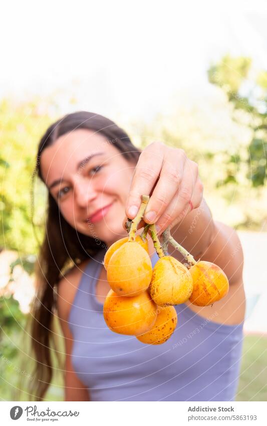 Frau präsentiert stolz frisch gepflückte Früchte aus dem Garten Loquats Kommissionierung Frucht orange Ernte im Freien Gartenbau Gartenarbeit Pflege Laubwerk