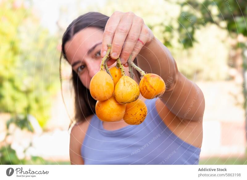 Frau präsentiert stolz frisch gepflückte Früchte aus dem Garten Loquats Kommissionierung Frucht orange Ernte im Freien Gartenbau Gartenarbeit Pflege Laubwerk