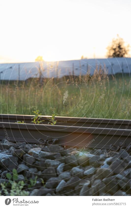 Bahnstrecke mit Sonnenuntergang Schienen Gleis Photovoltaikanlage Solarzelle Solarpark PV-Anlage Solarstrom erneuerbare Energie Solarenergie Deutschland