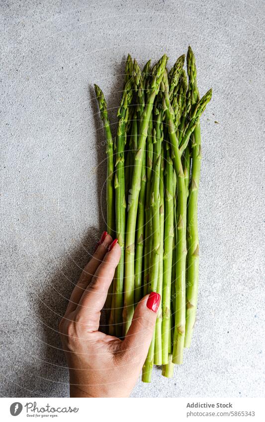 Frischer Spargel in anonymer Hand auf einem strukturierten Hintergrund grün Gemüse frisch roh Gesundheit Frau Ernährung Lebensmittel Stengel Sehne Veganer