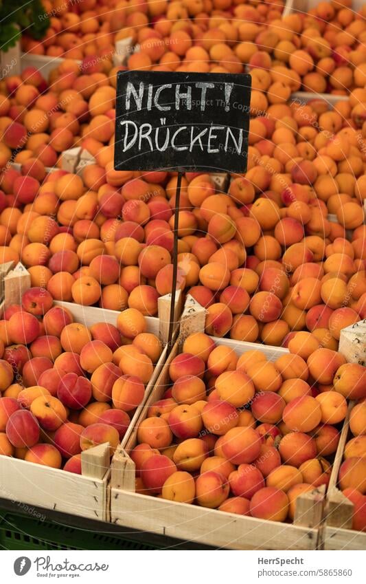 Marktstand mit Obst und Verbotsschild Aprikosen verkaufsstand Obsthändler verboten berühren orange Marillen Schilder & Markierungen Text Hinweis kaufen