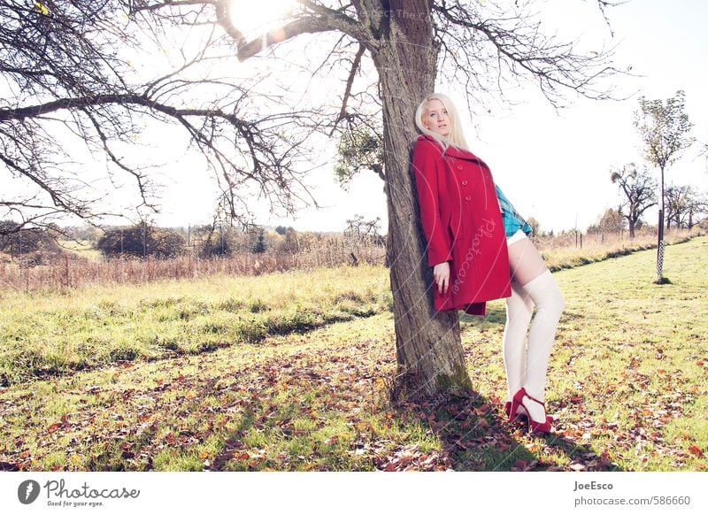 #586660 Stil Abenteuer Freiheit Sonne Garten Frau Erwachsene Leben 1 Mensch Natur Pflanze Baum Wiese Feld Mode Strümpfe blond beobachten Erholung festhalten