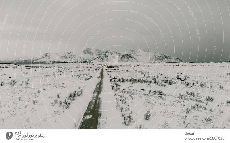 Lofoten - auf der Straße nach Norden Norwegen Natur Landschaft Ferien & Urlaub & Reisen Horizont Schnee Berge Reisefotografie nordisch Norwegenurlaub Himmel