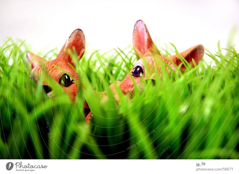 Versteckte Löffel Hase & Kaninchen Gras Wiese grün braun Keramik Tier Ostern Frühling Schnauze Fell Suche Nest 2 bunny Rasen Statue Kitsch easter Feste & Feiern