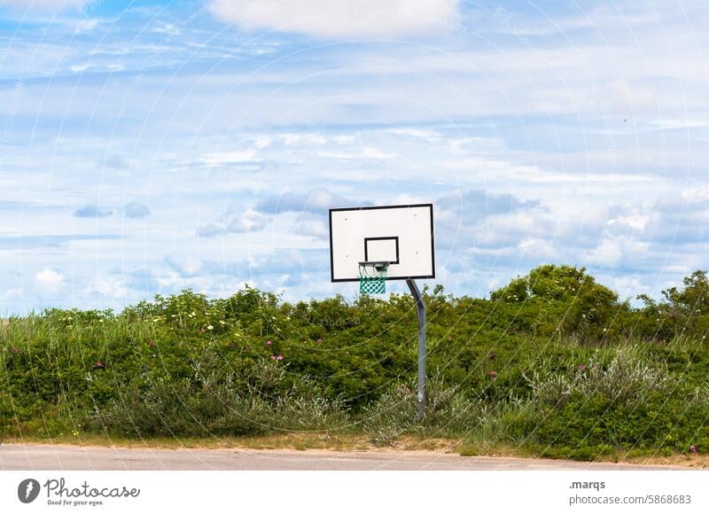 Alleinunterhalter Natur Basketball Sport Basketballkorb Freizeit & Hobby Sommer Fitness Umwelt Sportstätten Ballsport Baum Gestrüpp Himmel Wolken