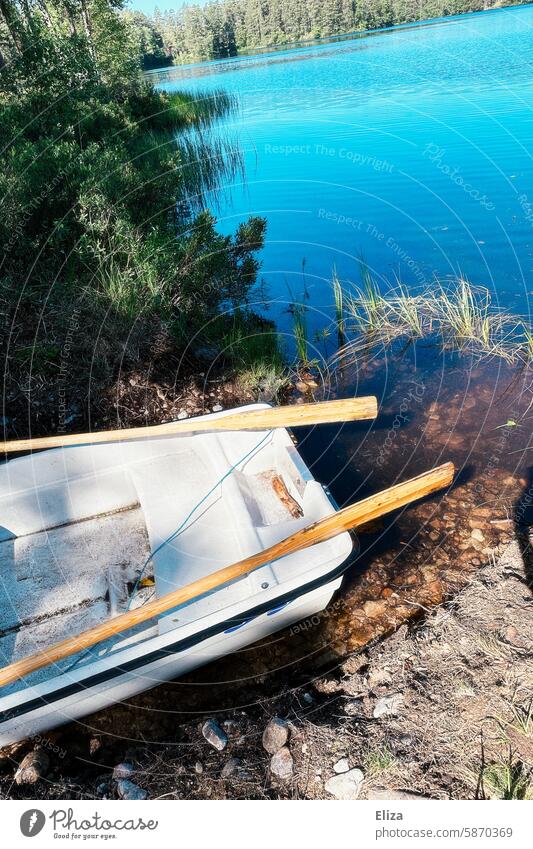 Kleines Ruderboot liegt an einem Seeufer Ufer Natur blauer Himmel Sonnenschein Landschaft Wasser Bäume Wald Paddel klein Menschenleer Wasseroberfläche einsam