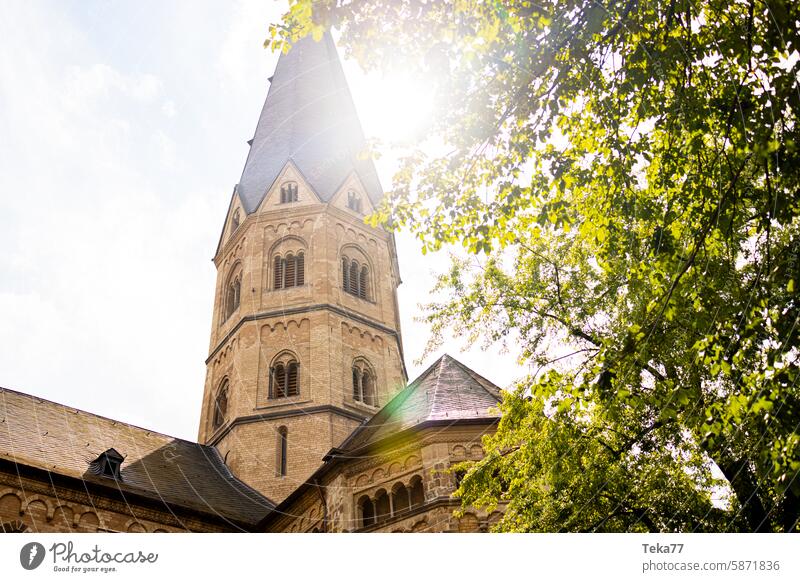 Bonner Münster bonn bonner münster bonn city bonn deutschland kirche kirche bonn sonne natur Architektur religion