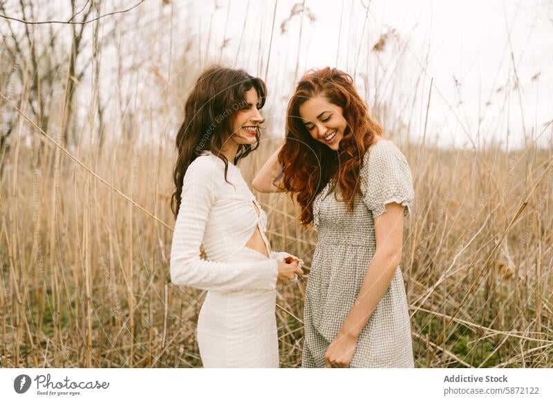 Zwei Frauen lachen zusammen in einer natürlichen Waldumgebung Freund Lachen Holz Natur lässig Kleid Freude Fröhlichkeit im Freien Schilfrohr Gelassenheit Tag