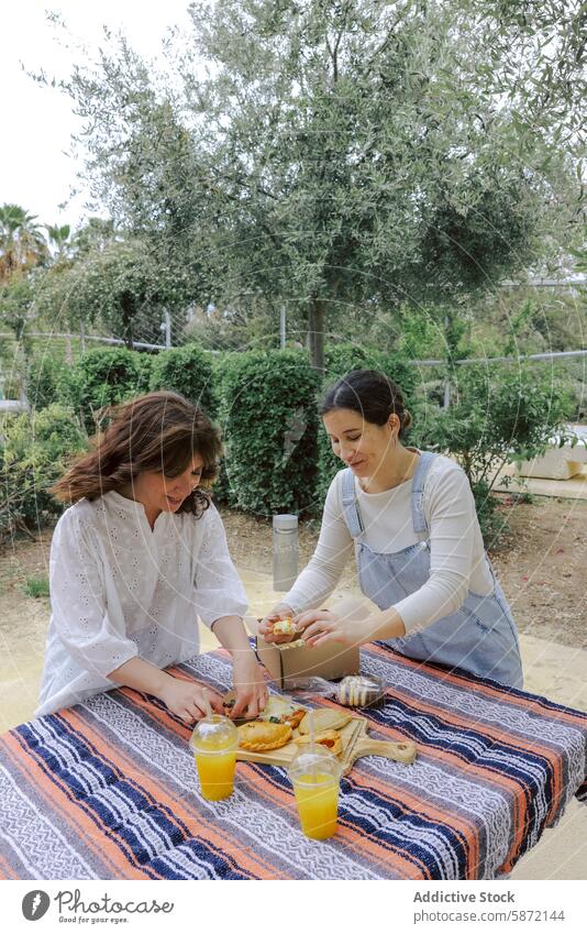 Zwei Frauen genießen ein Picknick mit Getränken und Snacks im Freien Lebensmittel trinken Orangensaft Belegtes Brot Garten lässig Gespräch Decke gemustert