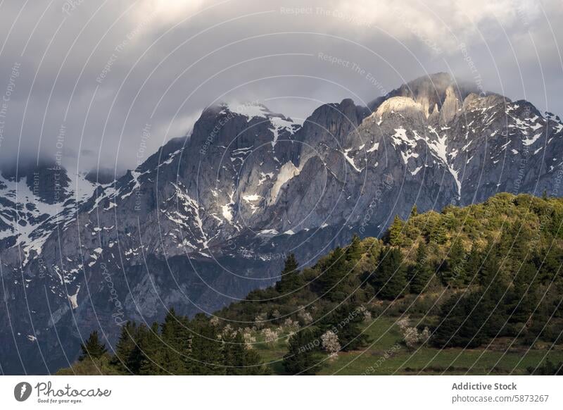 Majestätische Berggipfel unter stimmungsvollem Himmel mit üppigem Vordergrund Berge u. Gebirge Gipfel Cloud grün Baum Buchse Blütezeit Sonnenlicht Abend