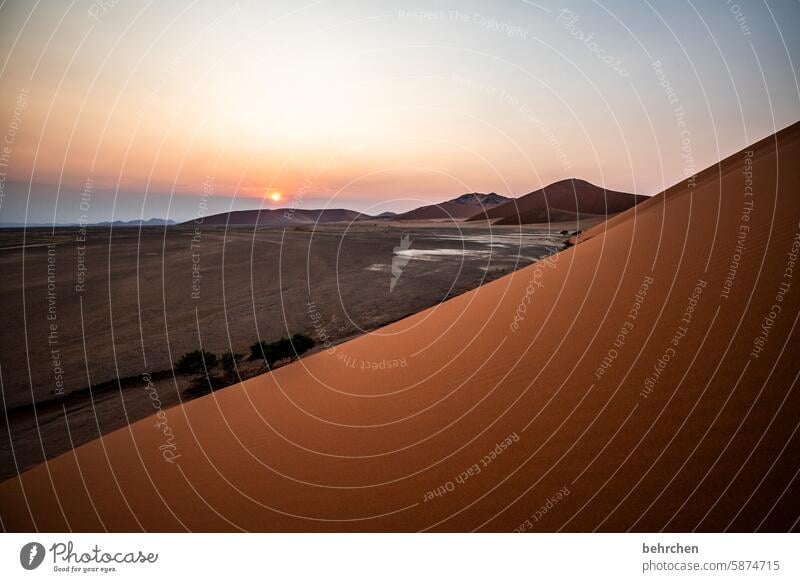 diagonale Himmel Schatten Licht Sossusvlei Außenaufnahme Sesriem dune 45 Sand Wüste Afrika Namibia Ferne Sehnsucht Fernweh Farbfoto reisen Landschaft