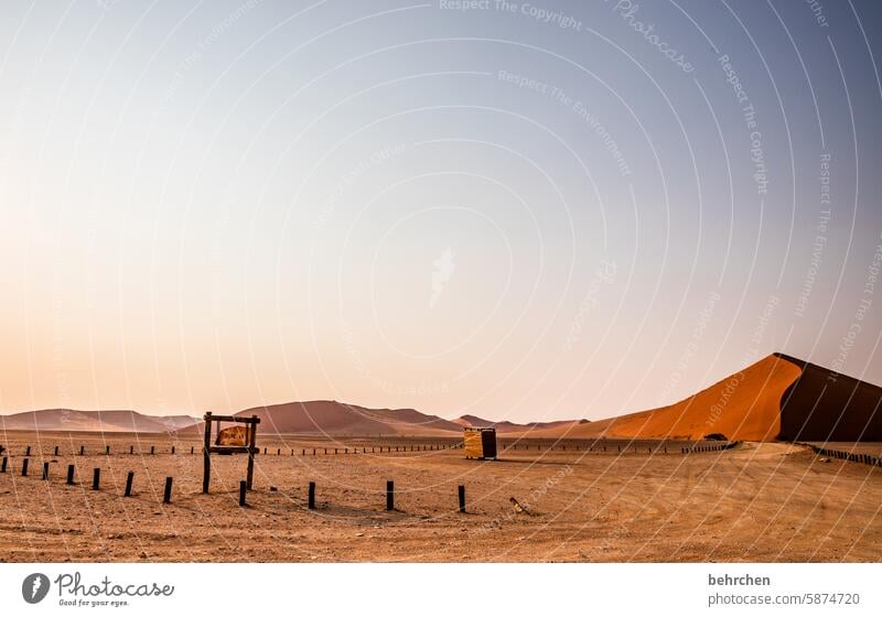 dune 40 Himmel Markierung name Hinweis Schilder & Markierungen Sossusvlei Außenaufnahme Namibia Ferne Afrika Wüste Sand Sesriem reisen Fernweh Farbfoto