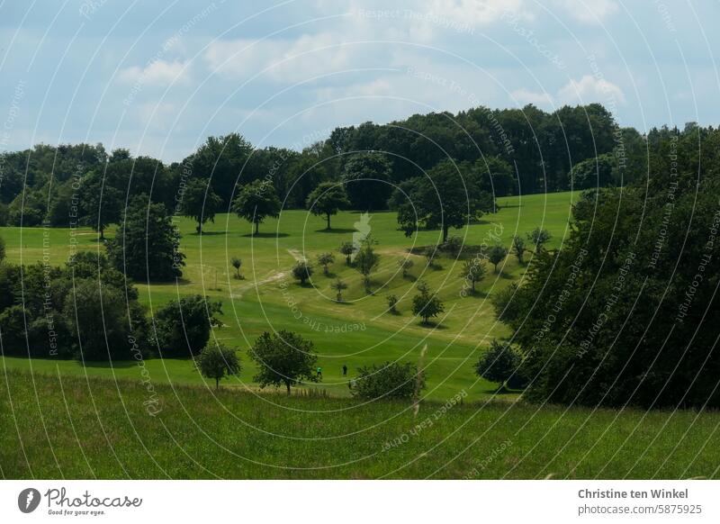 Zwei Golfspieler in der grünen Natur Landschaft Sport Bäume Golfsport Wiesen Sommer Umwelt Wald Hügel Himmel Wolken schön idyllisch im Freien golfen Panorama