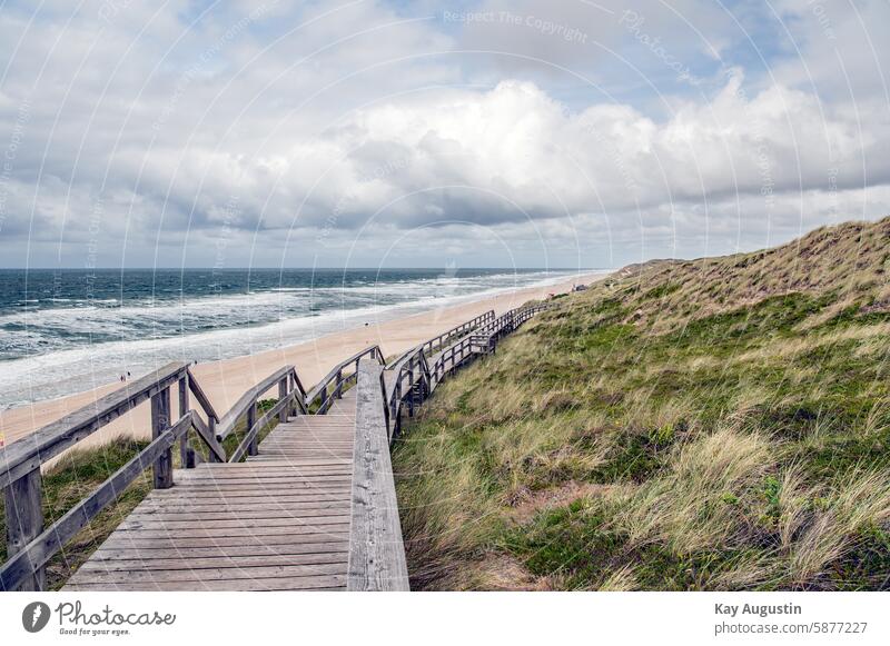 Nordsee Küste Sylt Nordseeküste Insel Insel Sylt Syltlandschaft Außenaufnahme Farbfoto Deutschland Natur Sylt-Insel Norddeutschland Naturerlebnis