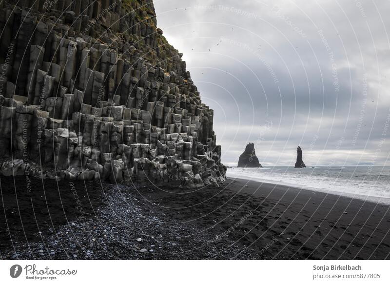 Der Strand von Reynisfjara auf Südisland Island Natur isländisch kalt Ruhe Nordeuropa Islandreise Einsamkeit nordisch Windstille Tageslicht Unschärfe Stimmung