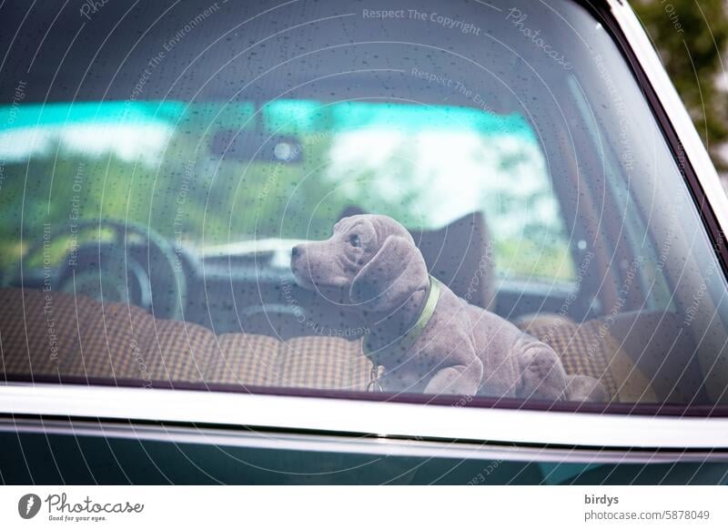 Wackeldackel auf der Hutablage in einem Oldtimer Auto früher retro Nostalgie PKW dekoration Detailaufnahme Heckfenster Autofahren Stil Stilecht Lenkrad alt