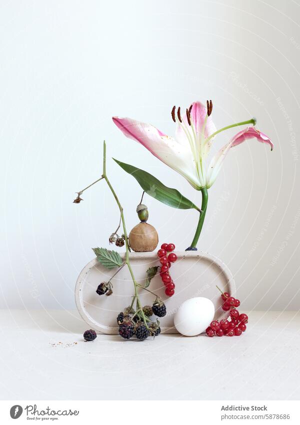 Elegantes Stillleben mit Lilienblüten und verschiedenen Beeren Blume Brombeeren Johannisbeere rot Stein weiß Zusammensetzung künstlerisch Ordnung filigran Flora