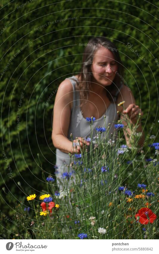 eine frau vor  einer blumenwiese. blumen pflücken wildblumen bunt rot lila mohnblumen Natur Sommer Wiesenblume Blume grün erfreuen freude schönheit betrachten