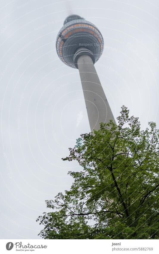 Typisch Berlin Turm Sehenswürdigkeit Wahrzeichen Fernsehturm Hauptstadt hoch Alexanderplatz Stadt Großstadt eingehüllt Nebel Berlin-Mitte Sightseeing