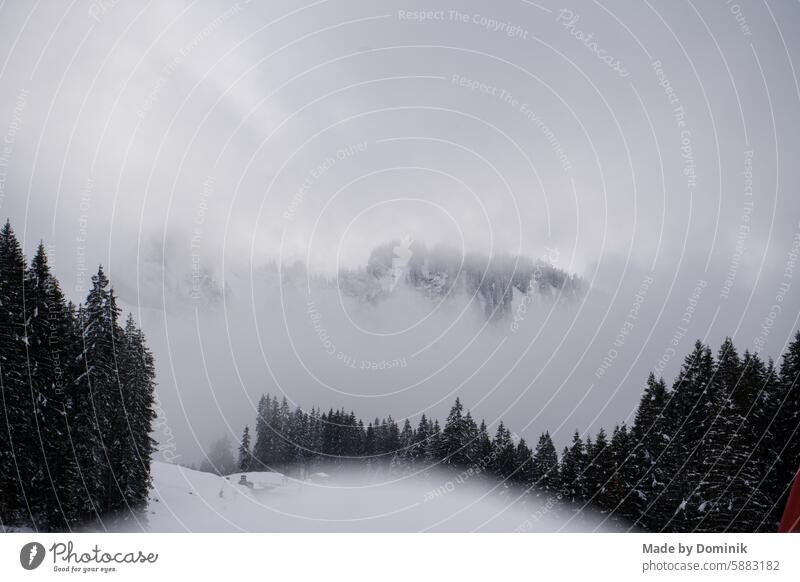 nebelige Winterlandschaft in Grasgehren winter Winterurlaub Schnee kalt weiß Außenaufnahme Natur Berge u. Gebirge Frost Eis Landschaft Farbfoto Baum