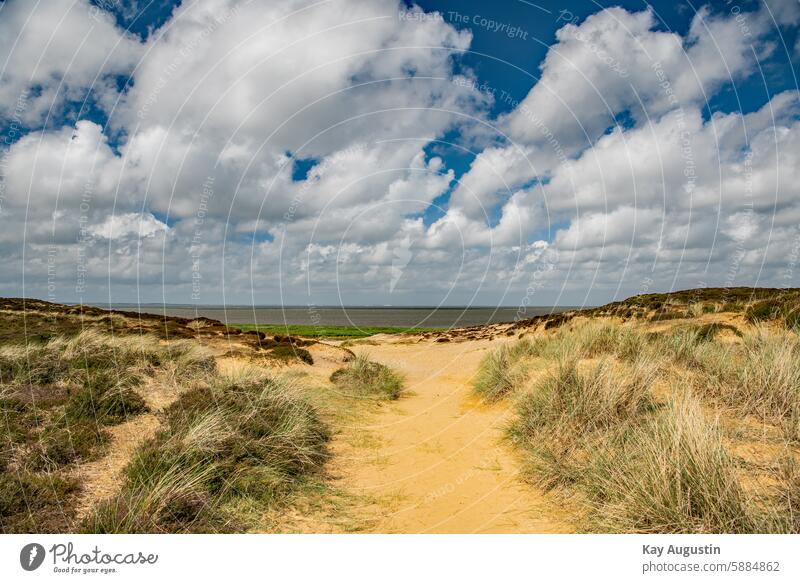 Am Morsumkliff Am Morsum Kliff Natur Flora Dünen Naturschutzgebiet Insel Sylt List Nordsee Nordseeküste Nationalpark Wattenmeer Gezeiten Vogelschutzgebiet