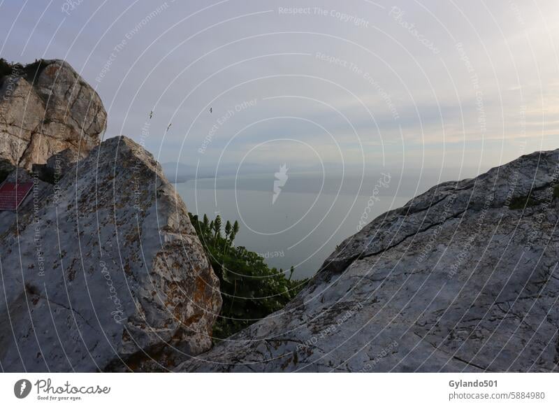 Blick vom Felsen von Gibraltar über die See Gibraltarfelsen rock upper rock Großbritannien Berg Sightseeing Sightseeingtour Ferien & Urlaub & Reisen Rock