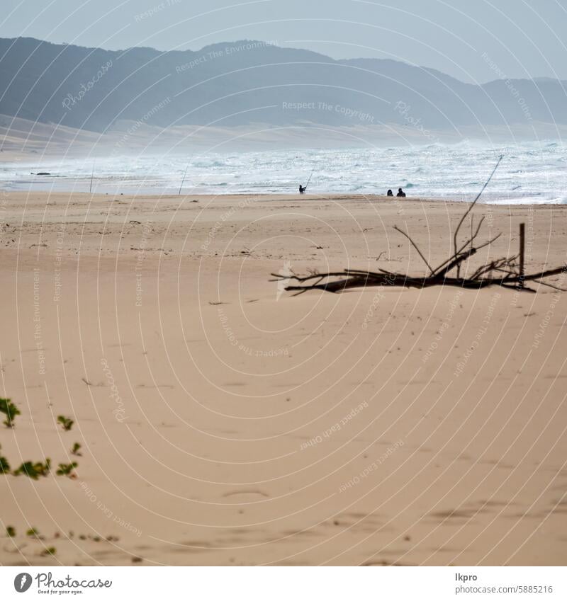 in südafrika sky ozean reserve Afrika Süden tsitsikamma Park national MEER Natur Meer Bierschaum Route Kap Wasser Landschaft Knysna Strand Fluss Unschärfe Küste