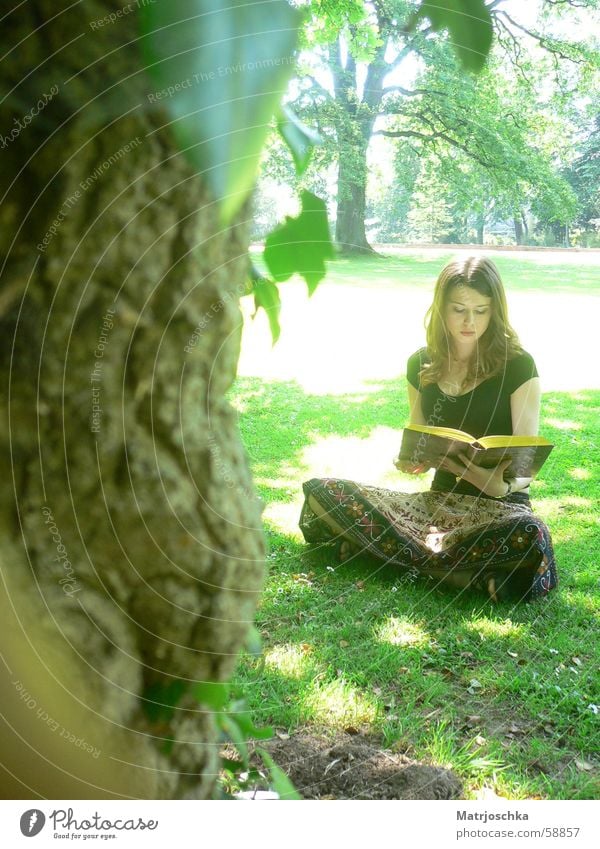 natürliche Lesefreude Farbfoto Außenaufnahme Licht Ganzkörperaufnahme Vorderansicht Blick nach unten Erholung lesen Sonne Frau Erwachsene Buch Natur Frühling