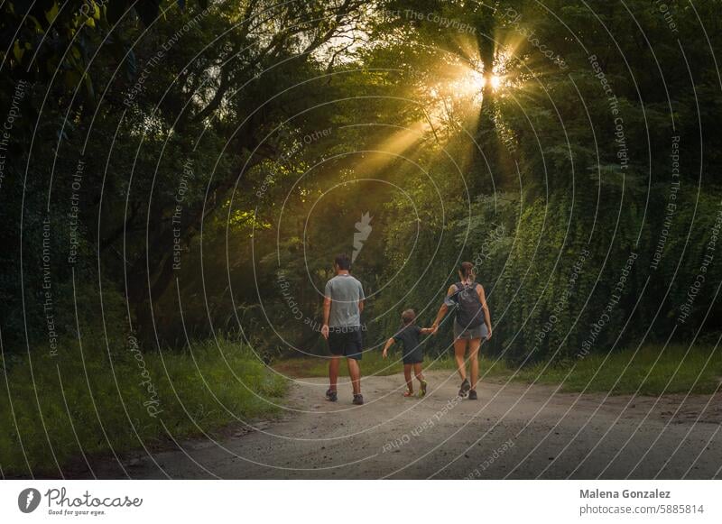 Eine dreiköpfige Familie geht bei Sonnenuntergang einen Weg entlang, Lichtstrahlen Familie & Verwandtschaft Strahlen Zusammensein Sommer Kind Kindheit Liebe