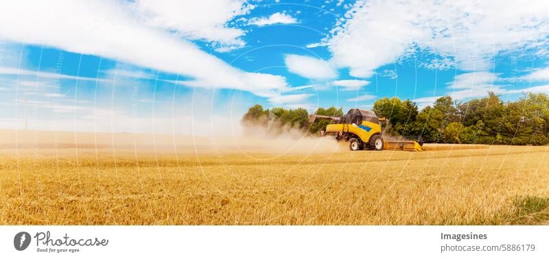 Getreideernte im Sommer. Mähdrescher im Einsatz auf einem Weizenfeld Ernte reif Landwirtschaft Maschine getreideernte Feld Maschinen Gerste Getreidepflanze Mais