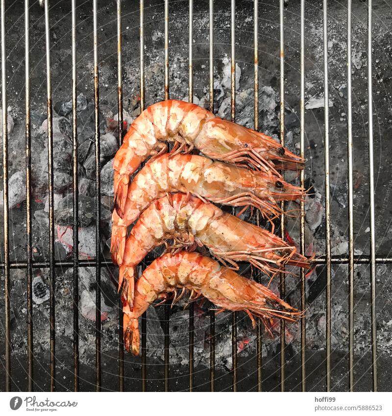 vier Garnelen auf dem Grill gambas Meeresfrüchte Nahaufnahme Grillen Grillrost Grillsaison Grillkohle Ernährung heiß Außenaufnahme lecker Glut Grillplatz Feuer