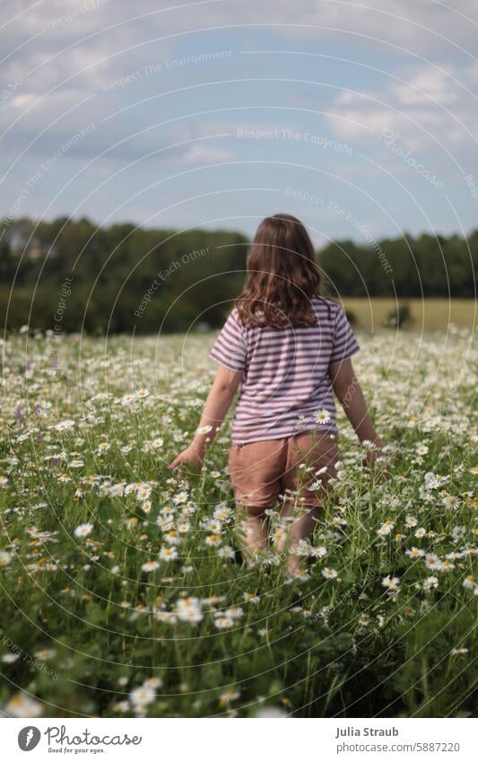 Mädchen läuft durch Kamillenfeld Sommer Kamillenblüten Blumen Blumenwiese Natur spazieren Wiese grün fühlen riechen gestreift weiß