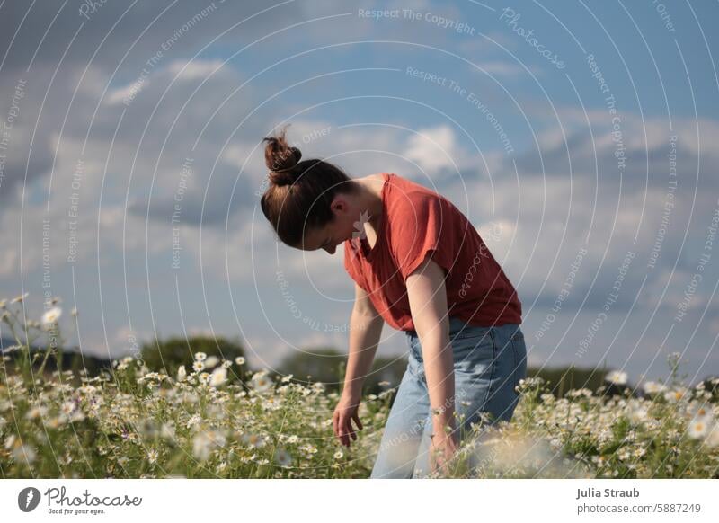 Schüttel deinen Speck Kamillenblüte wunderschöne Landschaft draußen Naturerlebnis Himmel Sommer fühlen Wolken Blumen genießen Tanzen drehen Blumenwiese