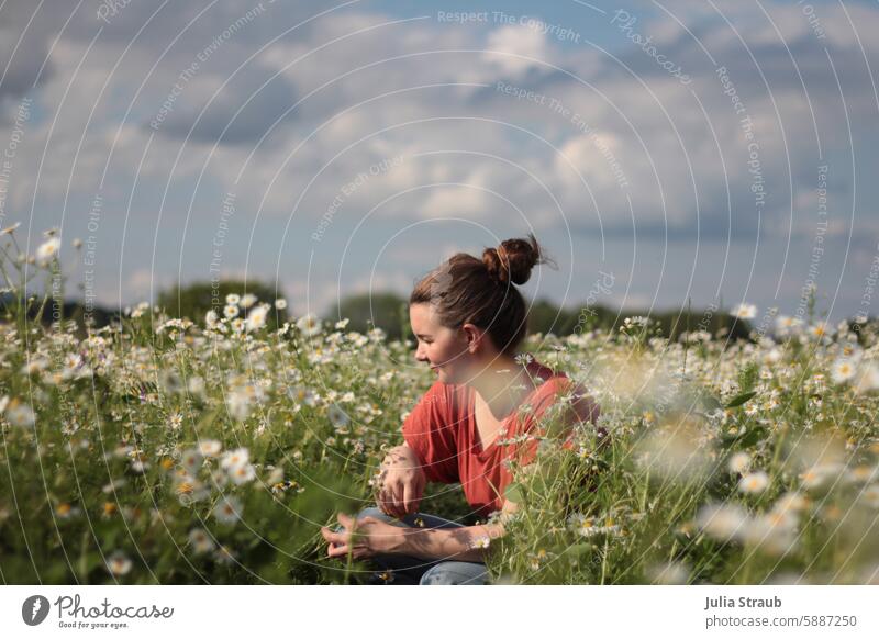 Blumen pflücken auf der Kamillenwiese Kamillenblüte wunderschöne Landschaft draußen Naturerlebnis Himmel Sommer Wolken genießen Blumenwiese schütteln Dutt jeans